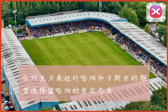 白巧克力表达对哈珀和卡斯尔的期望选择留哈珀的坚定态度