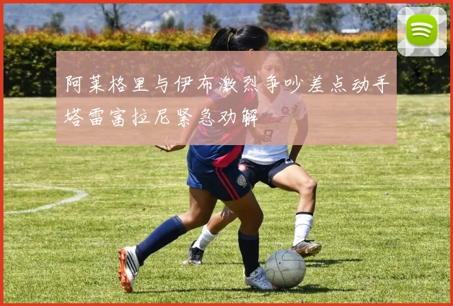 阿莱格里与伊布激烈争吵差点动手塔雷富拉尼紧急劝解
